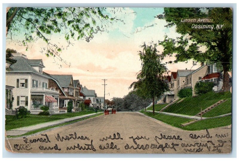 1908 Linden Avenue Road Houses Ossining New York NY Antique Souvenir Postcard 