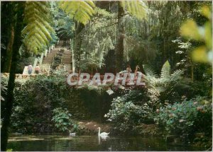 Postcard Modern Bucaco Portugal Fonte Fria