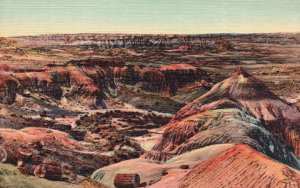 Vintage Postcard Painted Desert Large Petrified Forest Phenomenon Arizona AZ