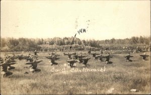 WORLD WAR I WWI Military Calisthenics REAL PHOTO PLATTSBURG NY PM RPPC