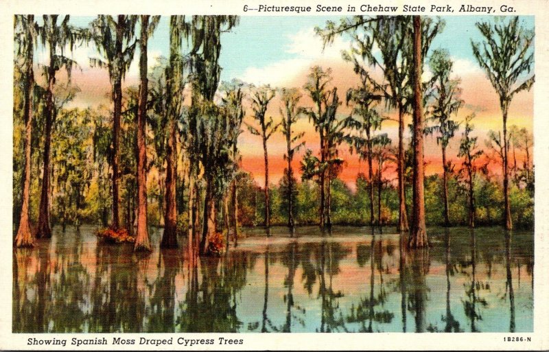 Georgia Albany Scene In Chehaw State Park Showing Spanish Moss Draped Cypress...