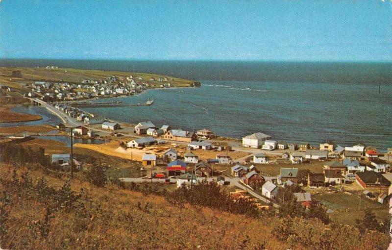 Riviere aux Renards Quebec Canada Gaspe Nord Birds Eye View Postcard J77243