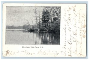 1905 Silver Lake White Plains New York NY Dalton MA Antique Posted Postcard