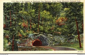 Tennessee Smoky Mountains Onne Of The Tunnels On Newfound Gap Highway Curteich