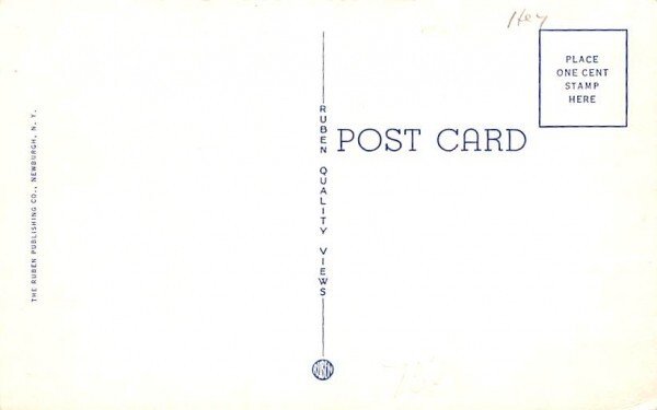 Rustic Bridge Middletown, New York Postcard