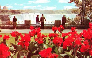 PC6565  FLOWERS IN QUEEN VICTORIA PARK, NIAGARA FALLS, CANCADA