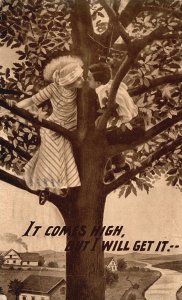 Vintage Postcard 1912 Lovers Couple Kissing Climbing A Tree Sweet Romance