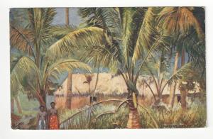 1909 Fiji Picture Postcard - Tucks - Native House, Fiji - Posted USA (AC53)