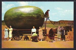 Exaggerated Watermelon on Horse Cart Post Card 5075