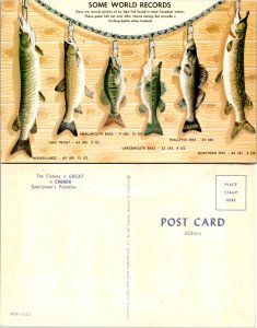 Some World Records The Fishing is Great in Canada Sportsman's Paradise (11718)