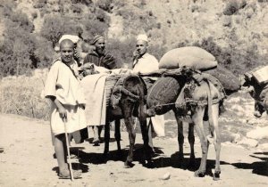 RPPC, Marrakesh Morocco  MEN & PACK MULES In OURIKA VALLEY 4x6 Oversize Postcard