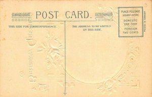John Winsch A Birthday Greeting Poem by Holmes Embossed Postcard