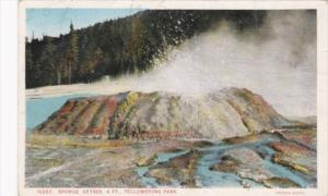 Sponge Geyser Yellowstone National Park