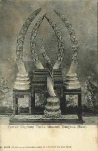 siam thailand, BANGKOK, Carved Elephant Teeth, Museum (1900s) Postcard