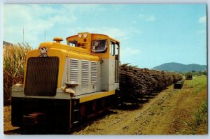 Murray  New South Wales Australia Postcard Sugar Cane Diesel Cane Train c1950's
