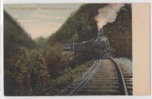 Stony Clove Notch Catskill Mountains NY Passenger Train Railroad Postcard