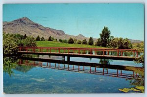 Socorro New Mexico NM Postcard Golf Course Institute Mining Technology Lake 1979