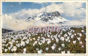 Postcard Old Bergfr�hling spring mountaineering