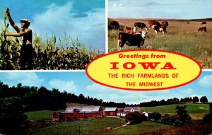 Greetings From Iowa The Rich Farmlands Of The Midwest Split View