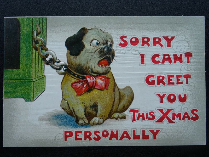 SORRY I CANT GREET YOU THIS XMAS PERSONALLY Puppy c1910 Embossed Postcard by B.B