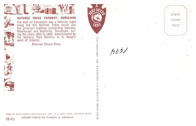 Postcard ANIMAL SCENE Natchez Mississippi MS AS2853