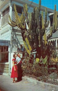 KEY WEST, Florida FL  COUPLE In Front Of GIANT CACTUS~DUVAL STREET   Postcard