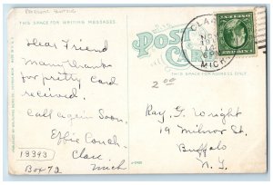 1915 Michigan State Capitol Patriotic Blunting Lansing Michigan Vintage Postcard