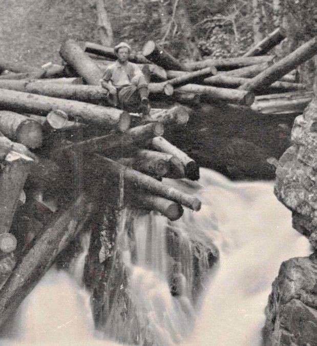 MAN SITTING ON DAM OF LARGE LOGS~SMALL WATERFALL~REAL PHOTO POSTCARD1910s