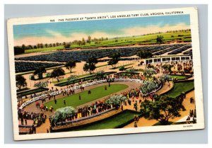 Vintage 1936 Postcard Santa Anita Paddock Los Angeles Turf Club California