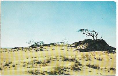 US Unused. North Carolina outer banks.  1961 Result of salt and sand laden winds