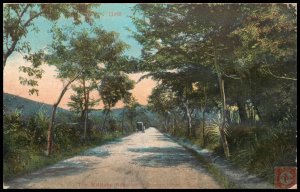 The Military Road near Coamo, Porto Rico