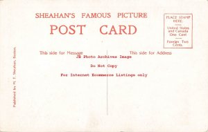 President Theodore Teddy Roosevelt, M.T. Sheahan