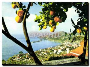 Modern Postcard Funchal Madeira Western view