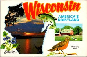 Wisconsin America's Dairyland State Flower Butterfly Violet State Bird R...