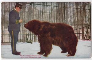 Brown Bear, NY Zoological Park NY