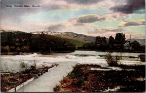 Vtg Nevada NV Truckee River Scenic View 1910s Postcard