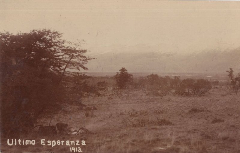 Ultimo Esperanza Argentina 1913 Antique Real Photo Postcard