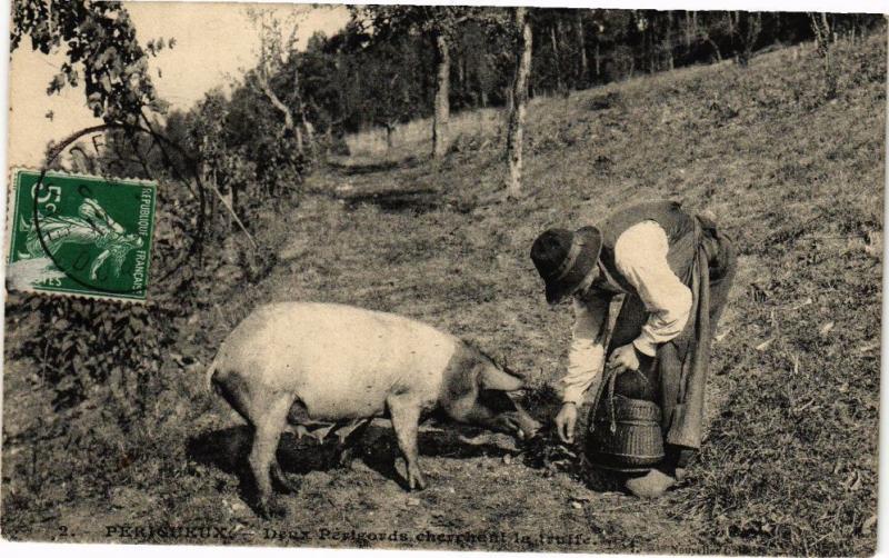 CPA PÉRIGUEUX-Deux PÉRIGORDS chrchent la truffe (233854)