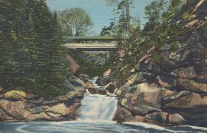 PC6856 POOL, BRIDGE, FRANCONIA NOTCH, WHITE MOUNTAINS, NH