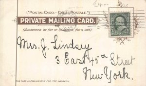 SHIP OFF THE BATTERY NEW YORK ROBINSON SIGNED POSTCARD 1903