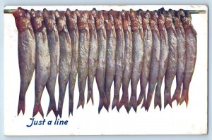 Ilfracombe England Postcard Fish Being Hanged Just a Line 1909 Oilette Tuck Art