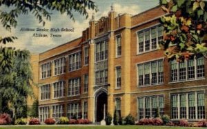 Abilene Senior High - Texas