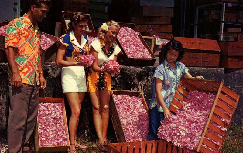 Crate of Hawaiian Vanda Orchids Flowers