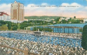 Oakland California Lake Merritt Wild Game Refuge, Birds,  1944 Linen Postcard