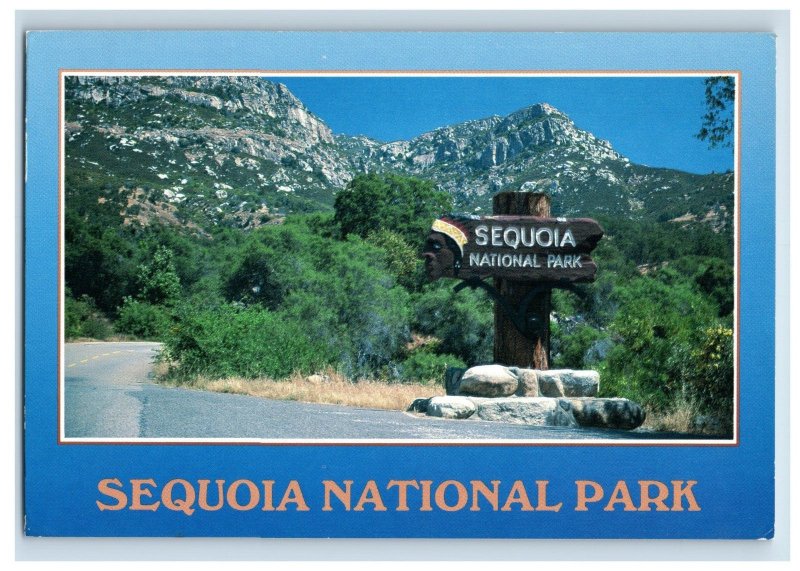 Vintage Sequoia National Park. Postcard 7WE