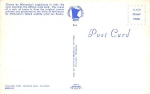 Minnesotas State Bird Minnesotas State Bird  - Minnesota State Bird, Minnesot...