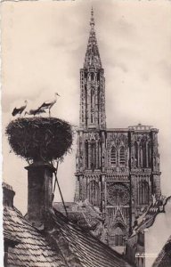 France Strasbourg La Cigigne 1959 Photo