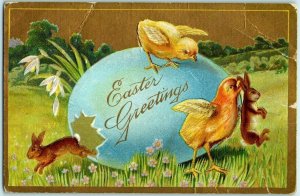 C. 1910 Chicks Brown Baby Bunnies Giant Easter Egg Postcard P66