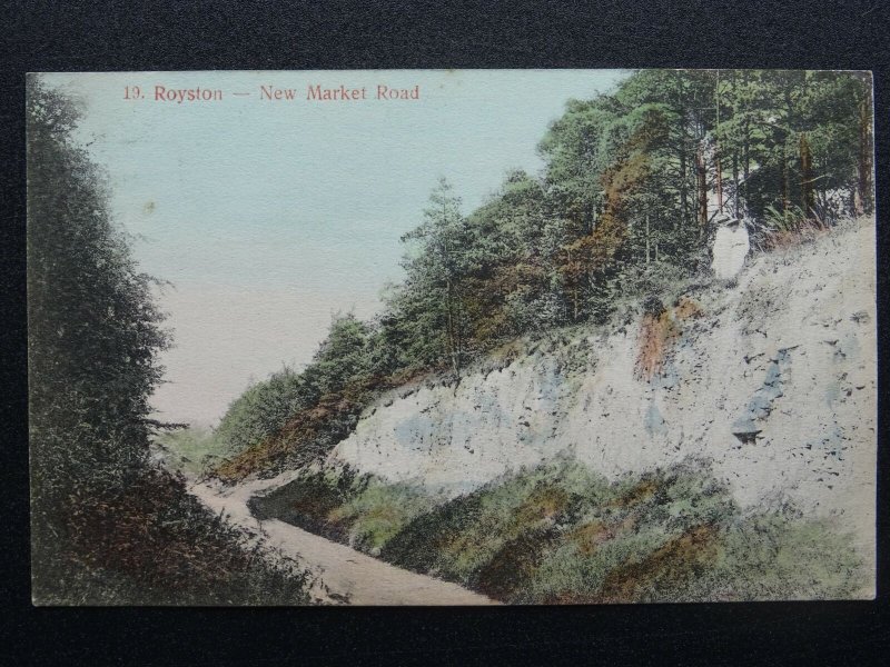 Hertfordshire ROYSTON New Market Road c1907 Postcard by Robert H. Clark