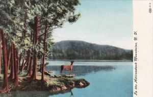 New York Adirondack Mountains Lake Scene